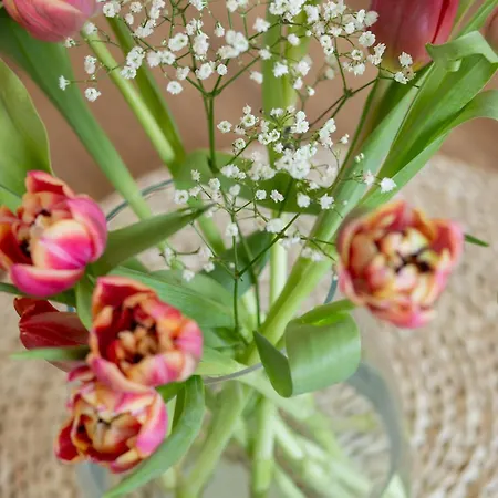 Prestige Pinea 613 - Basen, Sauna, Jacuzzi W Cenie Pobytu - Easy - Rent Apartment *