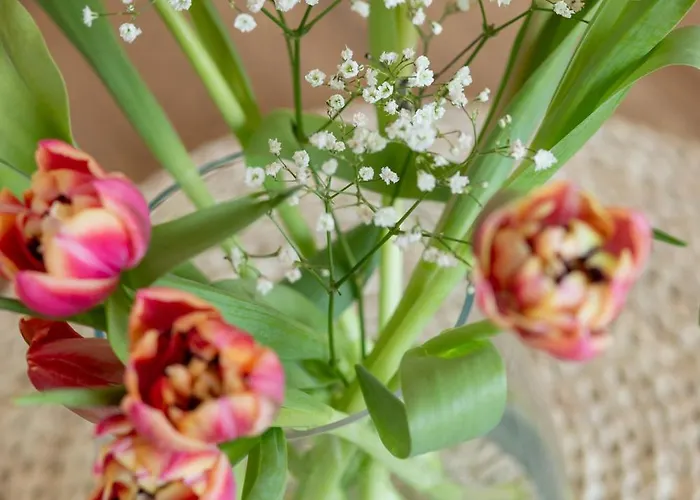 Prestige Pinea 613 - Basen, Sauna, Jacuzzi W Cenie Pobytu - Easy - Rent Apartment *